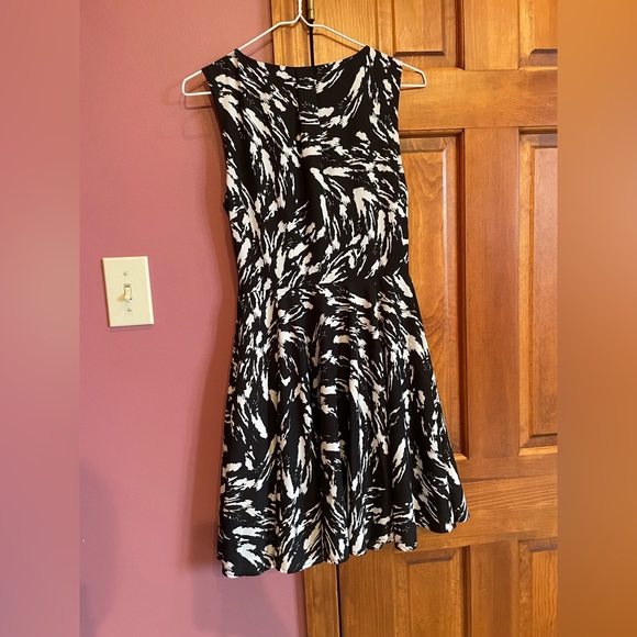 Express Dress - Picture 3 of 3
